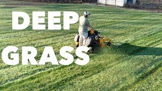 Mowing a lawn for the FIRST time in THREE MONTHS!