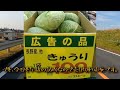 【gsx r125 gixxer sf250】あられちゃん家と道の駅かぞわたらせ。