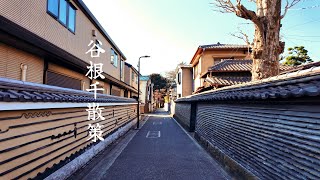 谷根千寺街散策 : Walking Around yanesen teramati (tokyo, Japan)