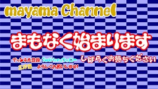 【😀 　参加型 　モンスターハンターライズ 　サンブレイク 😀 】初心者が楽しく狩りをしながら素材集めていく配信（アプデ＆傀異討究クエスト\u0026金冠　中心）　  667回目 　switch版