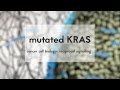 Cancer cell biology: mutated KRAS & reciprocal signalling