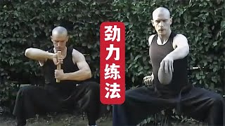 2009年传统武术劲力练法，一招一式皆为功夫美学