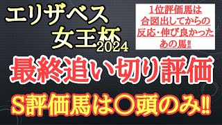 【エリザベス女王杯2024】最終追い切り評価！個人的追い切り1位は合図出されてからの反応伸びが良かったあの馬！