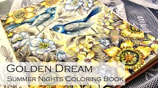 Golden Dream | Adult Coloring Book: Summer Nights Sommarnatt by Hanna Karlzon