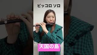 【DASH島】天国の島 ピッコロ・ソロ #吹奏楽 #piccolo #flute