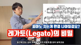 레가토(Legato), 음악성, 표현, 릴렉스의 비밀! 피아노 치는게 더 좋아진다! 🍯🤩