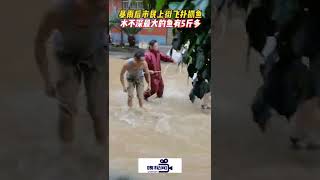 湖南永州：暴雨后市民上街飞扑抓鱼，水不深，最大的鱼有5斤多