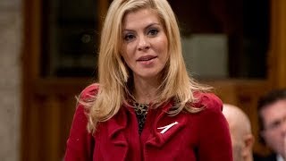 Allegations against MP Eve Adams