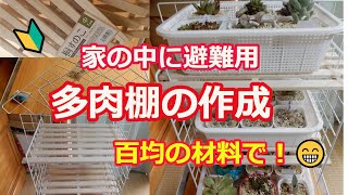 [多肉植物Ⅴlog086]家の中に避難用の多肉棚を作成しました😊百均の材料で作ってみました♪多肉も置いてみました❤