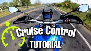 Aprilia Tuareg 660 Cruise Control