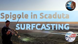 Surfcasting : spigole in scaduta di libeccio...