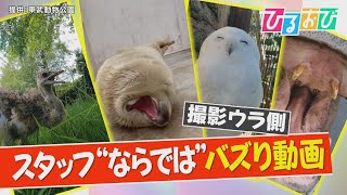 【ひるおび】動物たちの激カワＳＮＳ動画撮影に密着　何この表情！スタッフ“ならでは”