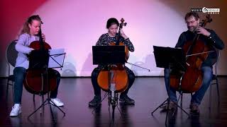 Musikschule Emmen - Instrumentenvorstellung: Violoncello