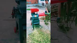 Small chaff cutter and grain grinder