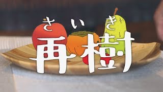 再樹