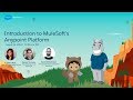 Introduction to MuleSoft Anypoint Platform