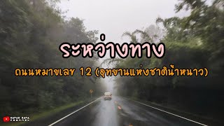 ระหว่างทาง | ถนนหมายเลข 12 (อุทยานแห่งชาติน้ำหนาว)