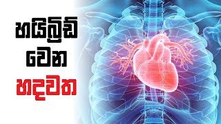 හයිබ්‍ර්ඩ් වෙන හදවත