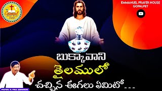 బుక్కావాని తైలములో చచ్చిన ఈగలు ఏమిటో...