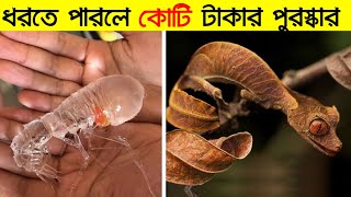 এসব প্রানীদের রহস্য দুনিয়ার কেউ ধরতে পারেনি।এমন অদ্ভুদ প্রানী জীবনেও দেখেননি। Invisible Animal