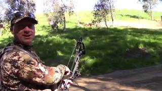 3D Fun Shoot at Oranco Bowmen Archery Range