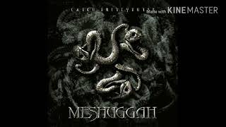 Meshuggah - Mind's Mirrors/In Death - Is Life/In Death - Is Death