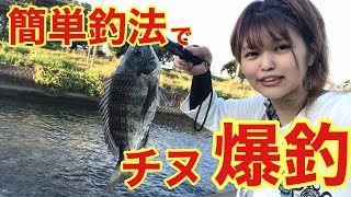 簡単な釣り方で初心者でもチヌが爆釣した！！