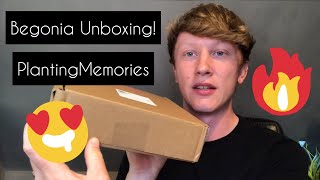 BEGONIA UNBOXING | Rare and uncommon!