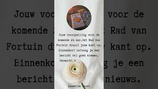 Komende 24 Uur: Het rad van fortuin Brengt goed nieuws! #tarotreading  #tarotlezing #dagkaart