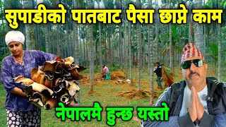 नेपालमै हुन्छ यस्तो | खेर जाने सुपाडीको पातबाट पैसा छाप्ने काम #nayagoreto