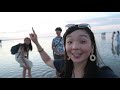 🇹🇼台中遊 2018 day 4 去高美濕地看日落 逢甲夜市 taichung vlog 2018