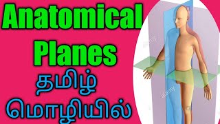 Anatomical Plane/Body Planes explained in Tamil/Human Biology