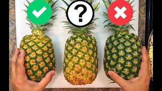 The secret of how to pick a sweet juicy pineapple piña | 4 things to look for |
