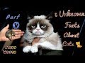 Unknown Facts about Cats | Part V | Cat Facts | Fact Gyani