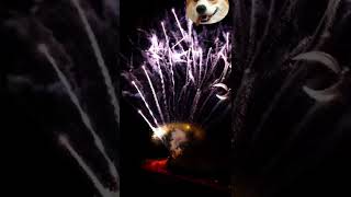 【烟花】【fireworks】打出像手指一样的烟花你看过吗 | Have you ever seen fireworks that look like fingers