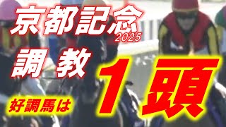 京都記念2025　追い切り診断！　チェルヴィニア独壇場か！？　元馬術選手のコラム