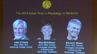 Nobel Prize for Medicine won by scientists who found the brain's 'GPS system'