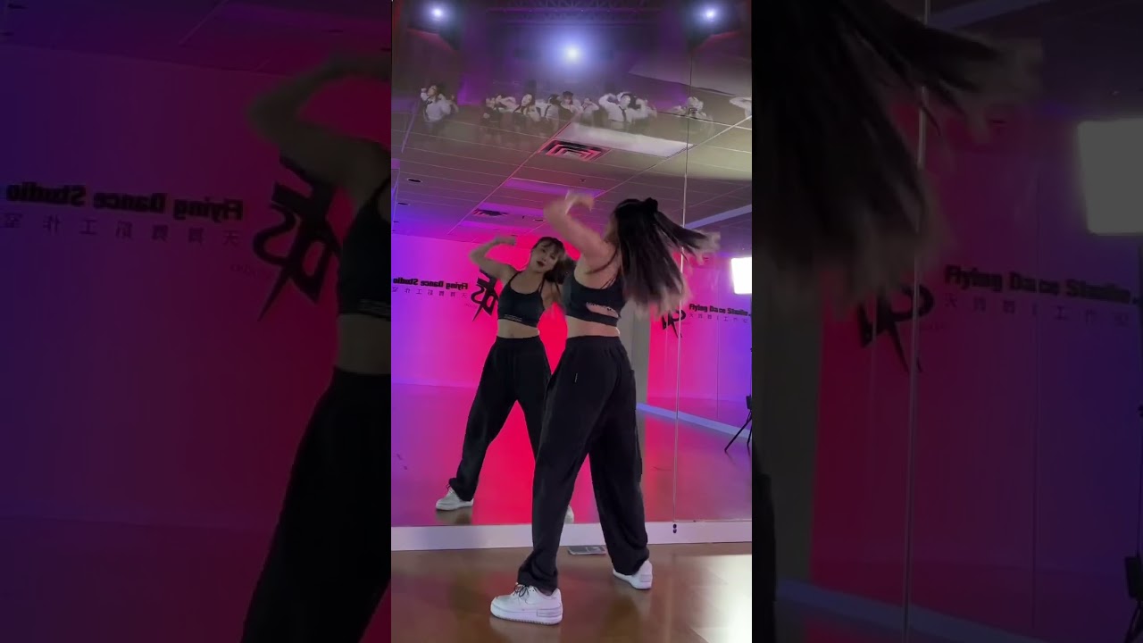 Bibi Vengeance Mirrored Dance Tutorial By Secciya Fds Vancouver
