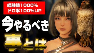 【黒い砂漠】宝物堀り！金策！レベル上げ！今やるべき事をまとめていく！