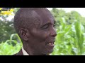 PART 2:  Musoja Akapfura Mukadzi Wake Amubata NeBoyFriend, Family YeMukadzi Yozviramba