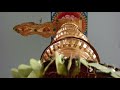 canada chandra mouleeswarar temple 3011 markham road scarborough ontario