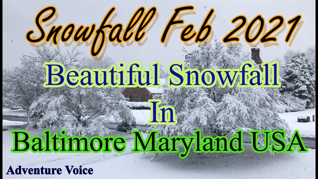 Beautiful Snowfall Baltimore Maryland USA February 10 & 11 2021 - YouTube