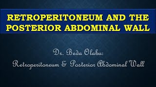 ANATOMY OF THE RETROPERITONEUM \u0026 POSTERIOR ABDOMINAL WALL