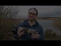 how to photograph flying ducks birds in flight photography tips