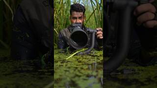 Water level photography with Nikon mirrorless camera | #birds #nikon #nature #water #wildlife