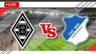 🔴Borussia Monchengladbach VS TSG Hoffenheim LIVE Match Score Streaming Full HD | Bundesliga 2023