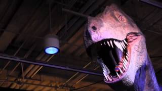 Inside the Whitaker Center's 'Dino Adventure'