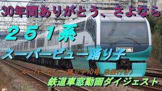 251系スーパービュー踊り子号　30年間ありがとう　車窓動画ダイジェスト