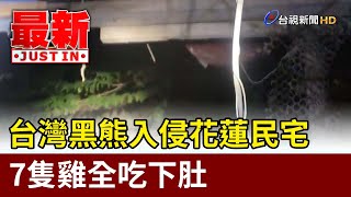 台灣黑熊入侵花蓮民宅 7隻雞全吃下肚【最新快訊】