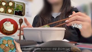 자취 브이로그 ⛤ 부지런한 집순이 하루 세 끼 요리하고 도시락 싸기 | 집밥에 진심인 일상 | 단호박에그슬럿, 김치볶음밥, 피망고기완자